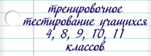 Тренировочное тестирование